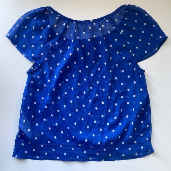 Cottagecore Blue Sheer Top Lot - Picture 6 of 6